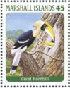 Great Hornbill (Buceros bicornis)